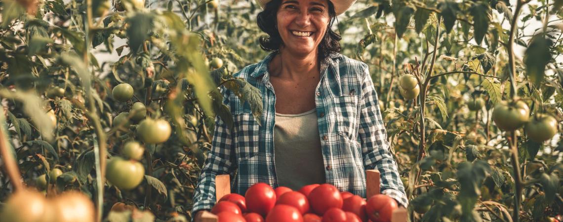 carte campagne accueil